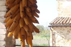 museo_02
