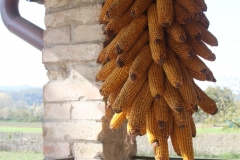 museo_03
